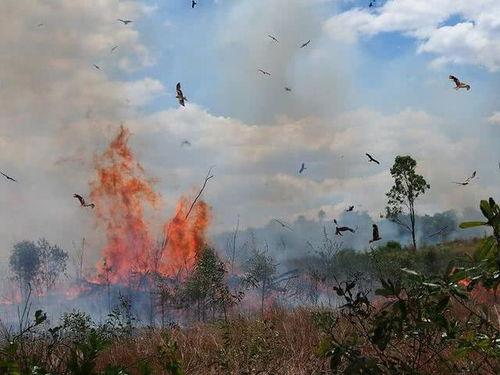 火鹰最新爆料视频,揭秘神秘项目，科技革新再掀热潮  第2张