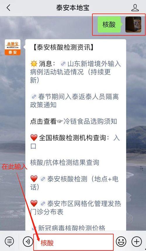 泰安核酸爆料事件真相最新,真相与反思 第1张 泰安核酸爆料事件真相最新,真相与反思 第1张