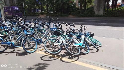 珠海公交车爆料视频最新,爆料视频揭示公交改革新举措  第2张